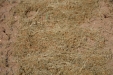 TrillarLentejas-26