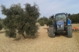 NewHollandT5115ElectroCommand-37