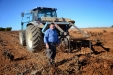 NewHollandTM190-14