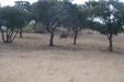 valquejigoso-012