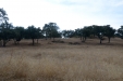 valquejigoso-013