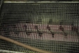Bodegas_GallegoLaporte-34