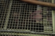 Bodegas_GallegoLaporte-35