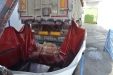 Bodegas_GallegoLaporte-45